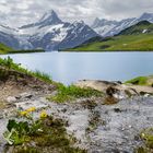 Bachalpsee mit Schreckhorn 4078m