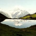 Bachalpsee mit Schreckhorn