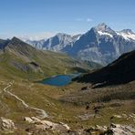 Bachalpsee mit Wetterhorn (3.701 m)