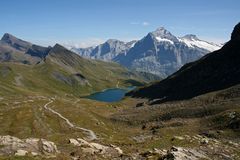 Bachalpsee mit Wetterhorn (3.701 m)