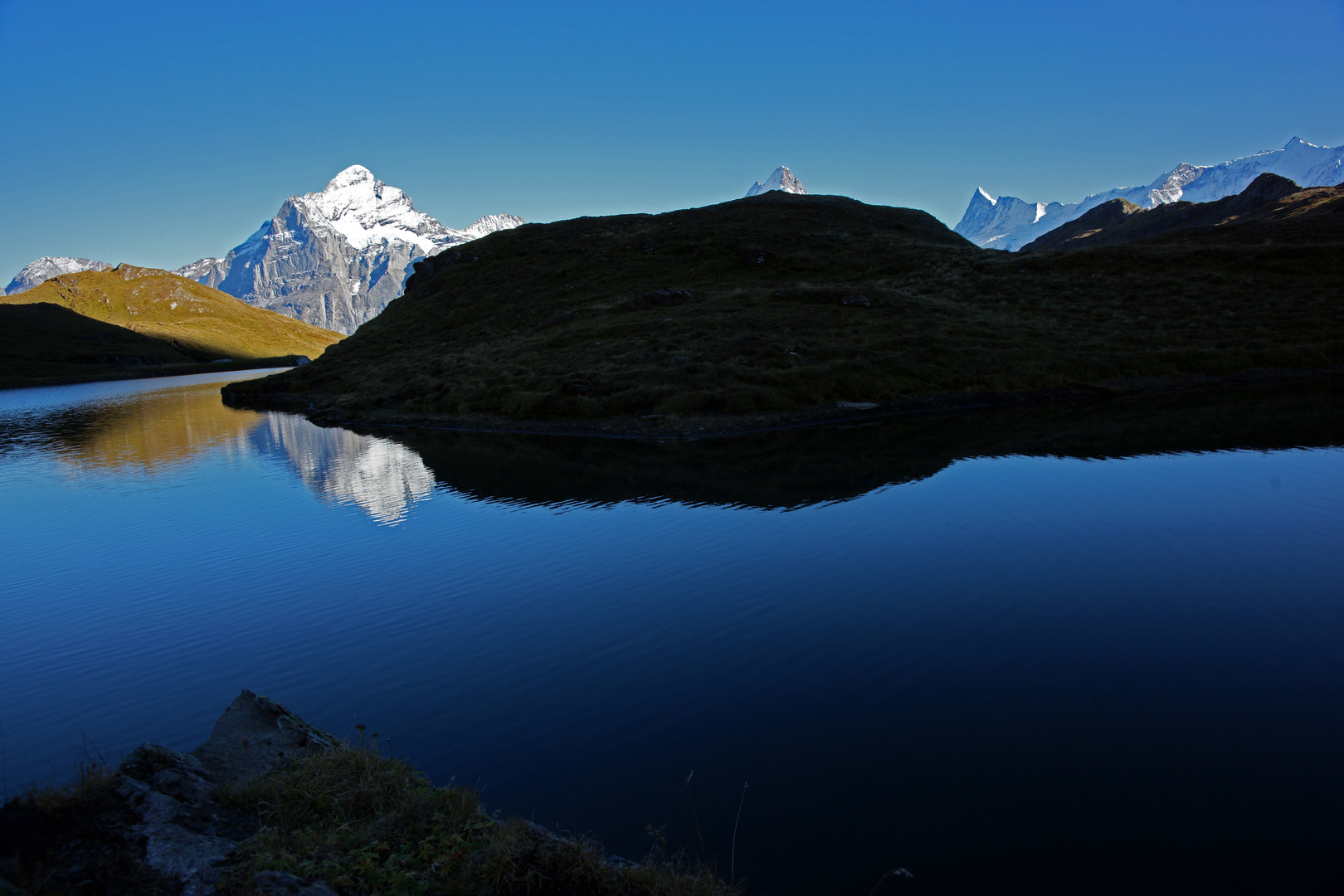 Bachalpsee mit Wetterhorn