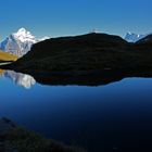 Bachalpsee mit Wetterhorn