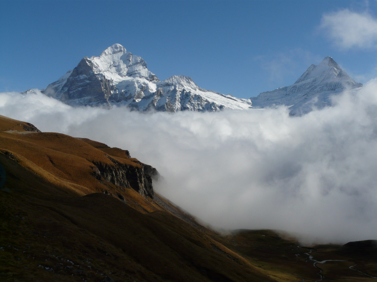 Bachalpsee-Panorama