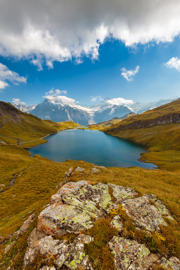 Bachalpsee view