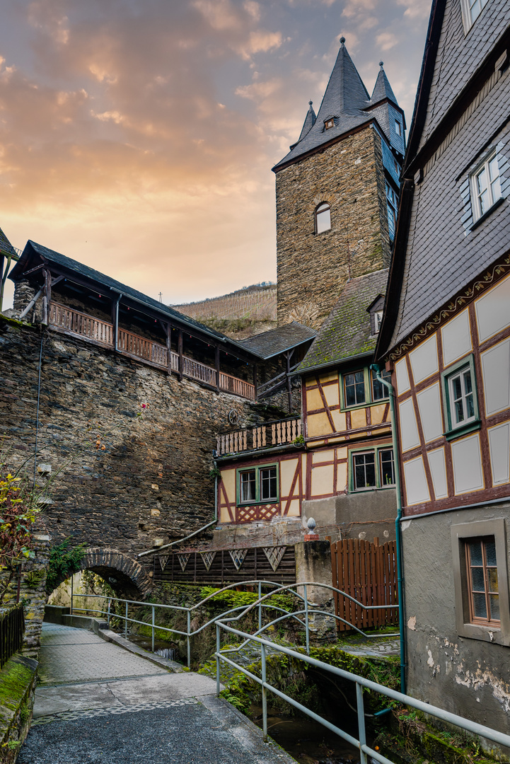 Bacharach 21