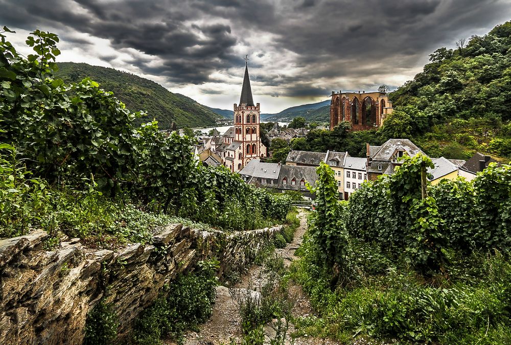 Bacharach