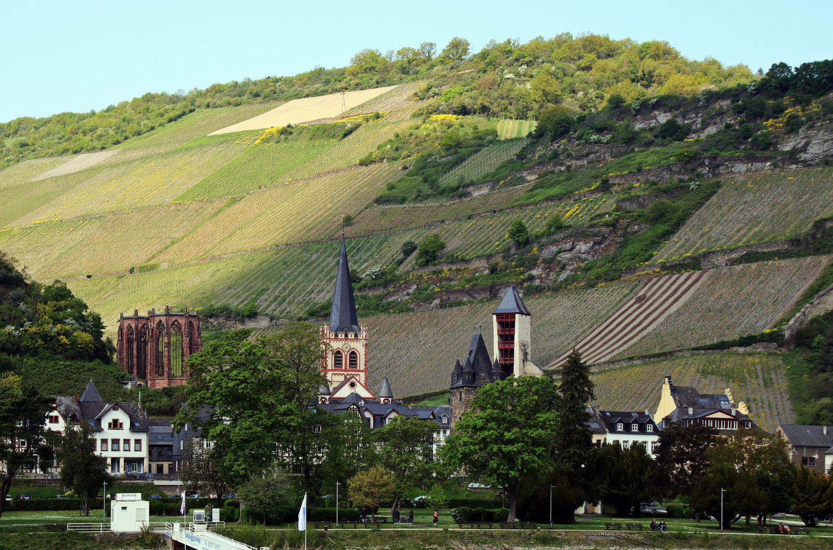 Bacharach