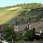 Bacharach