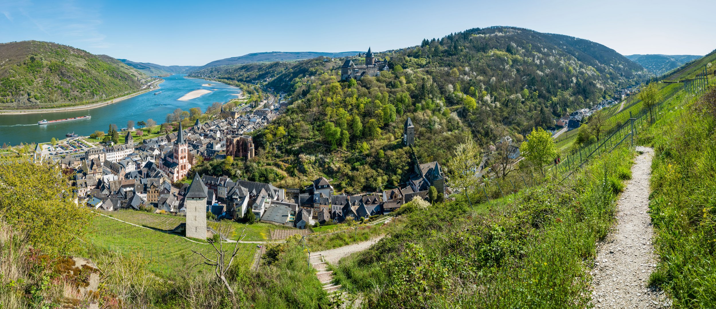 Bacharach mit Stahleck (11)