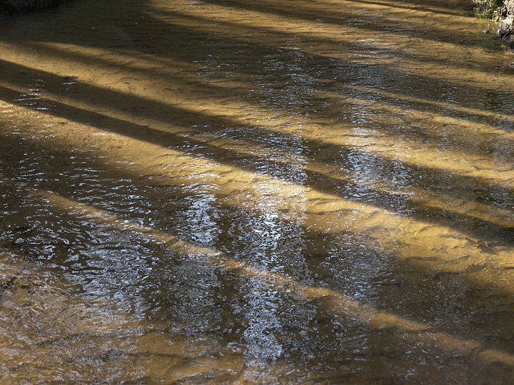 Bachbett zwischen Licht und Sand