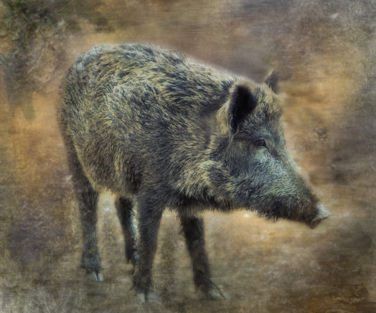 Bache Foto & Bild natur, composing, digiart Bilder auf