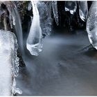 Bacheis scharf im Vordergrund und unscharf im Hintergrund