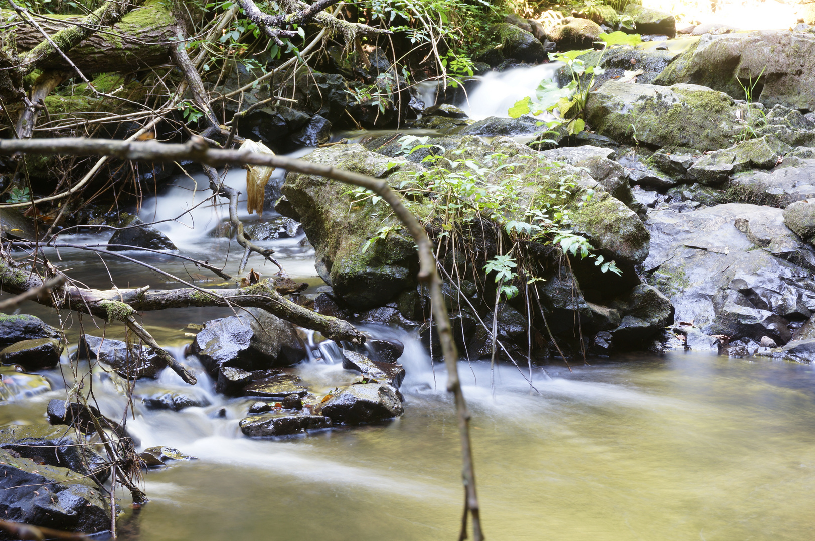 Bacher Ley, Nisterau, Wasserfall