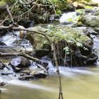 Bacher Ley, Nisterau, Wasserfall