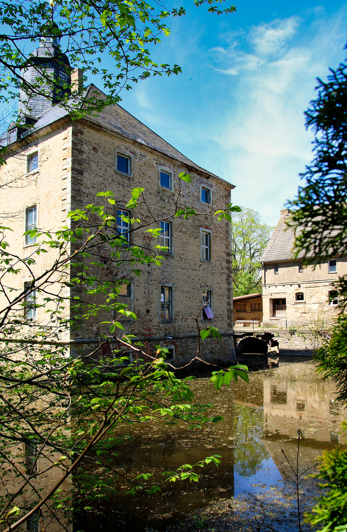  Bachhoffsches Schloss gespiegelt