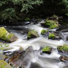 +++Bachläufe im Harz+++