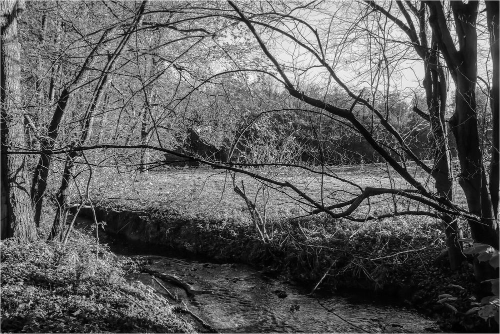 Bachlandschaft Foto & Bild | world, wald, outdoor Bilder auf fotocommunity