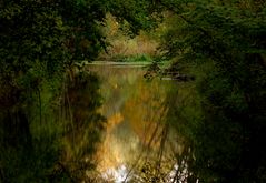 Bachlandschaft im Herbst.