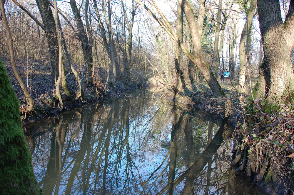 Bachlandschaft im Winter