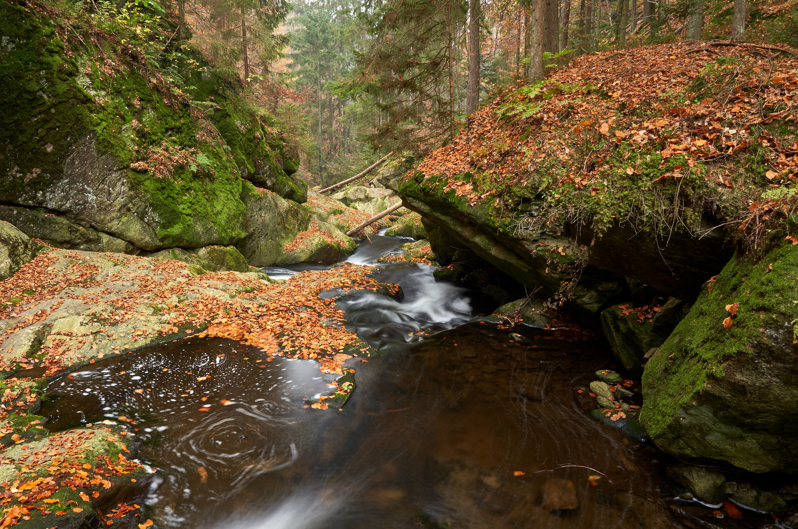 Bachlauf