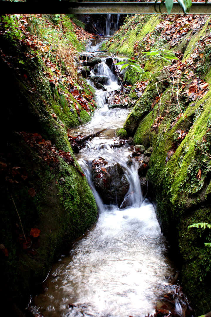 Bachlauf