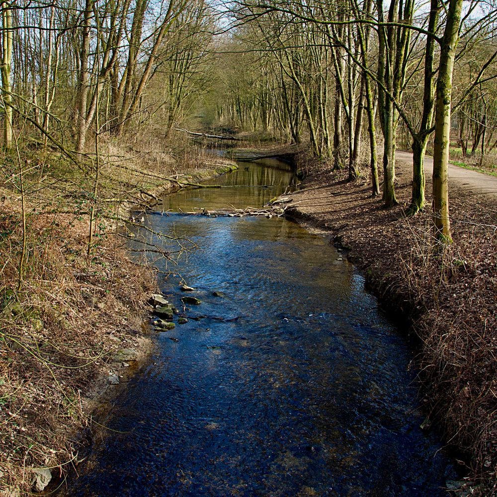 Bachlauf 1