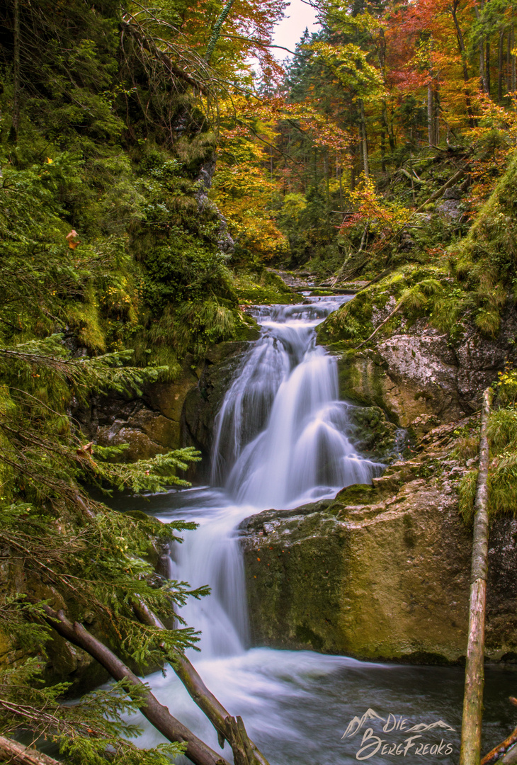 Bachlauf