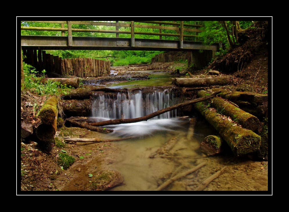 Bachlauf