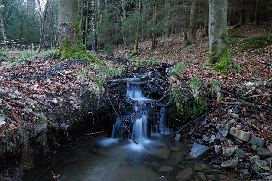 Bachlauf 2