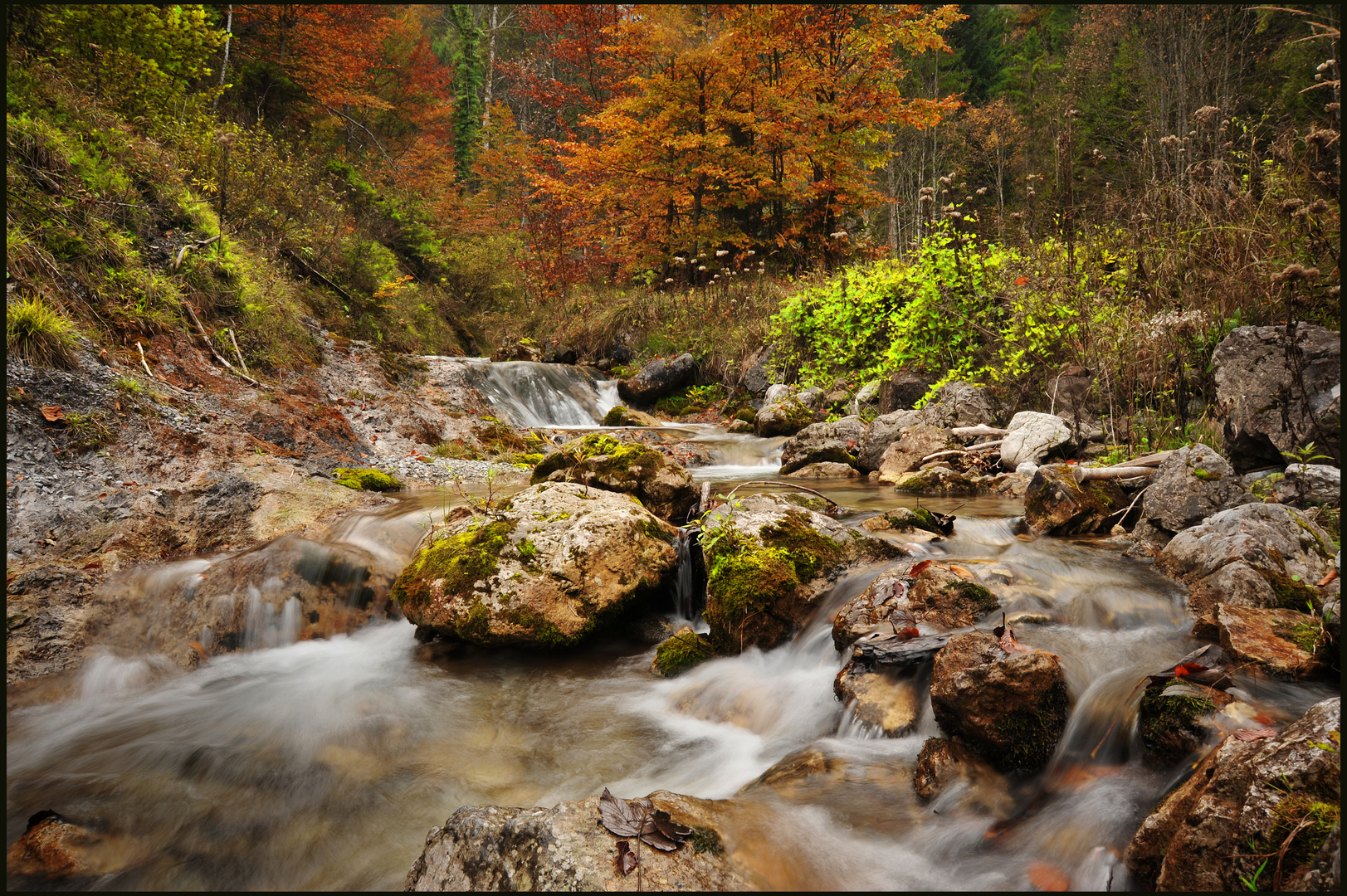 Bachlauf 2