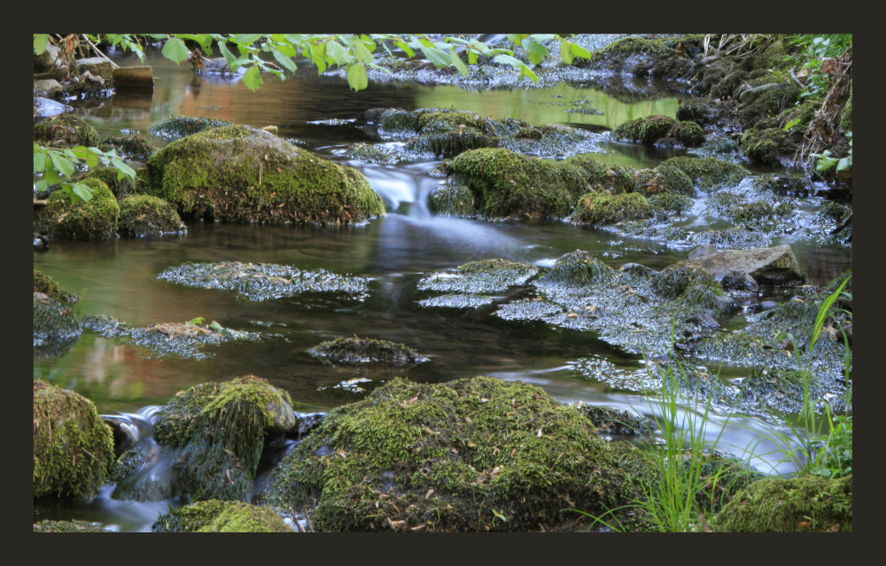 Bachlauf