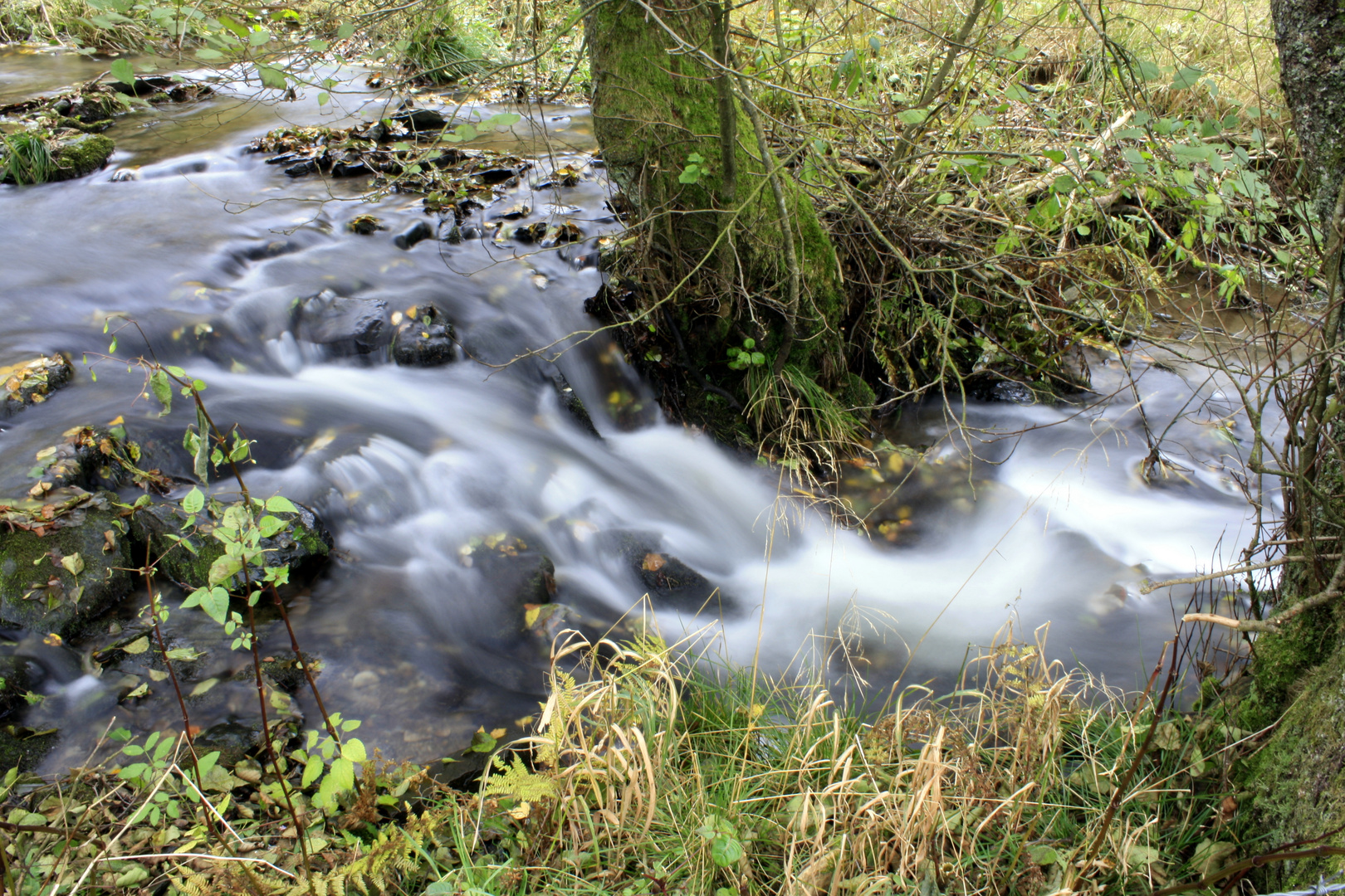 Bachlauf