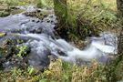 Bachlauf von tomblick