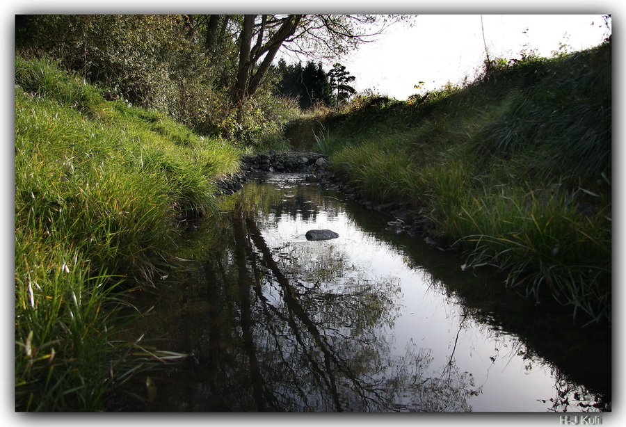 Bachlauf