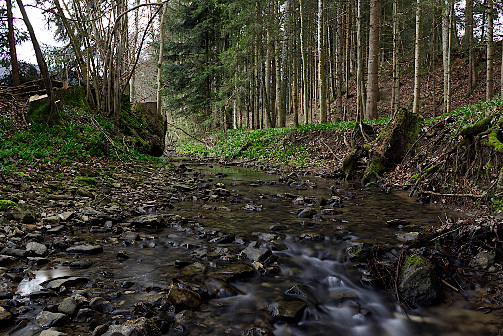 Bachlauf