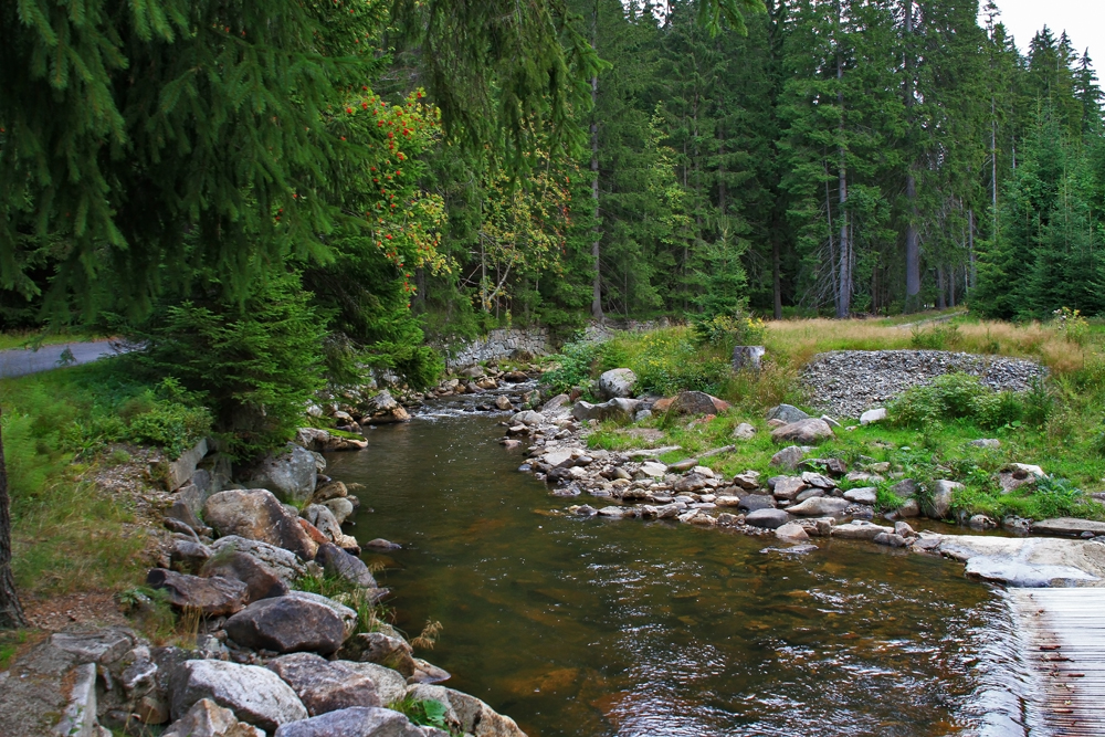 Bachlauf