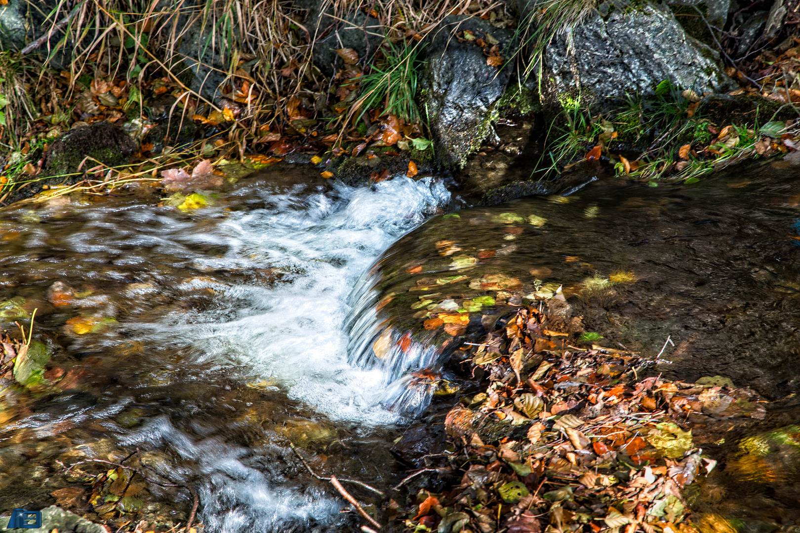 Bachlauf