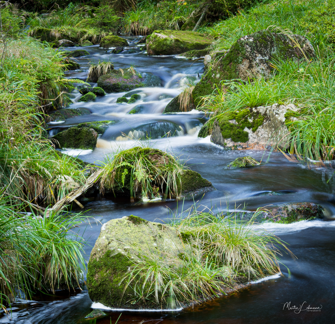 Bachlauf #5