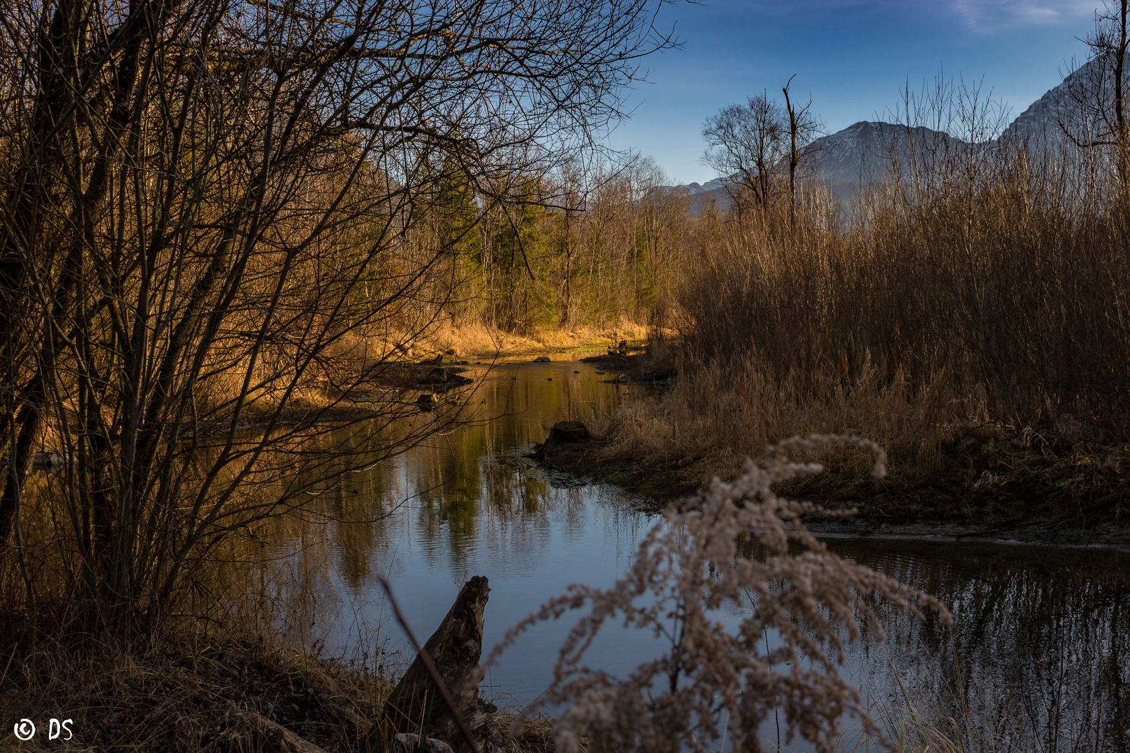 Bachlauf