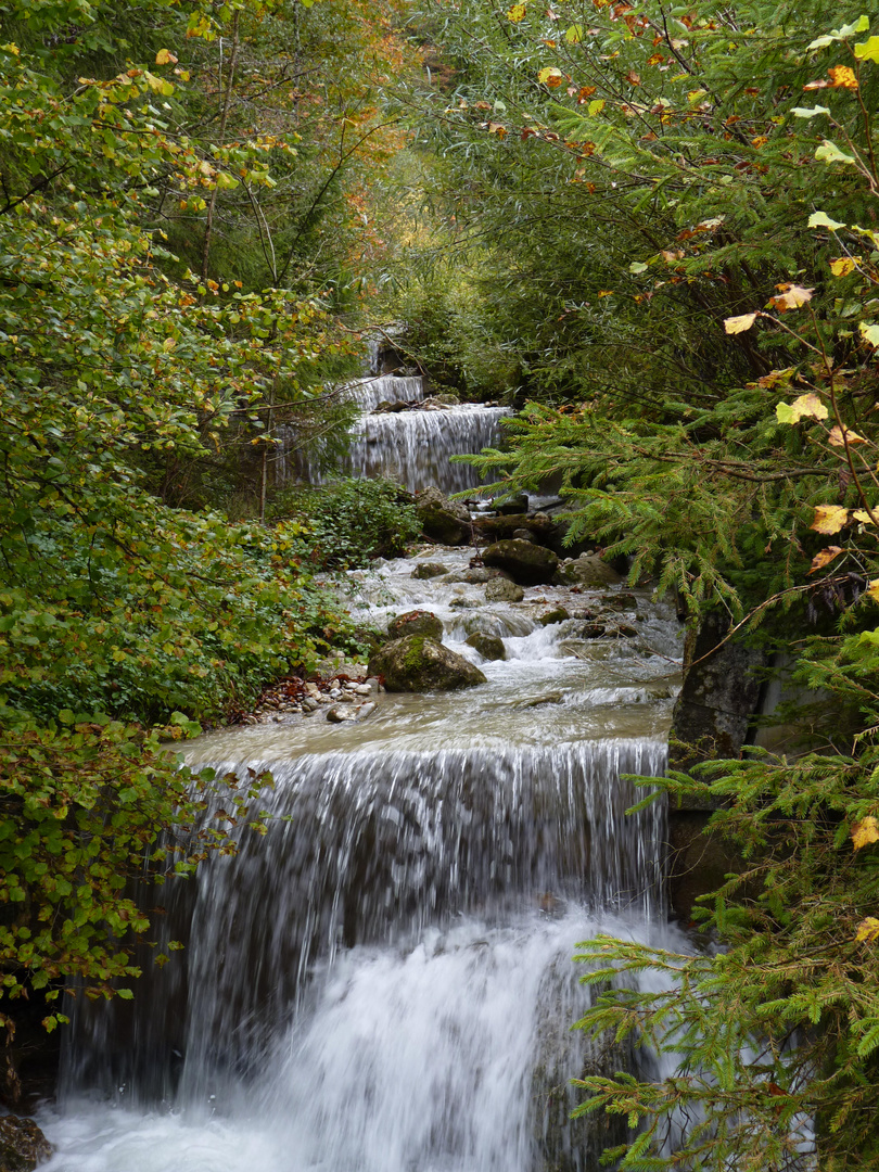 Bachlauf