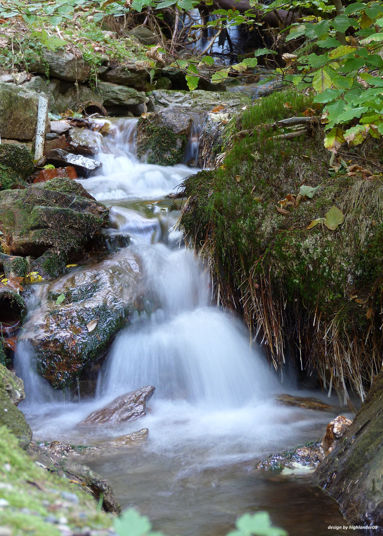 Bachlauf