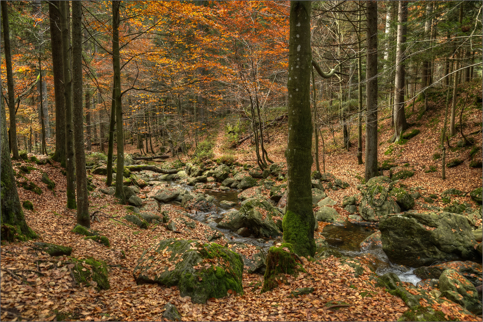 Bachlauf