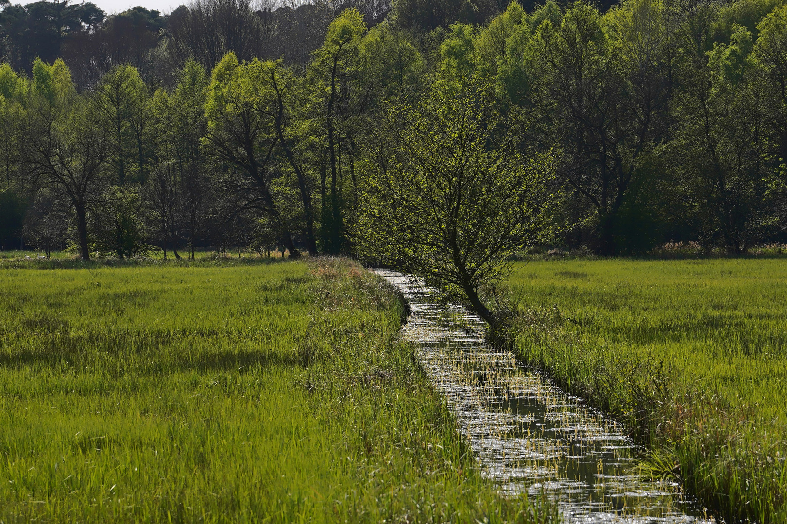 Bachlauf