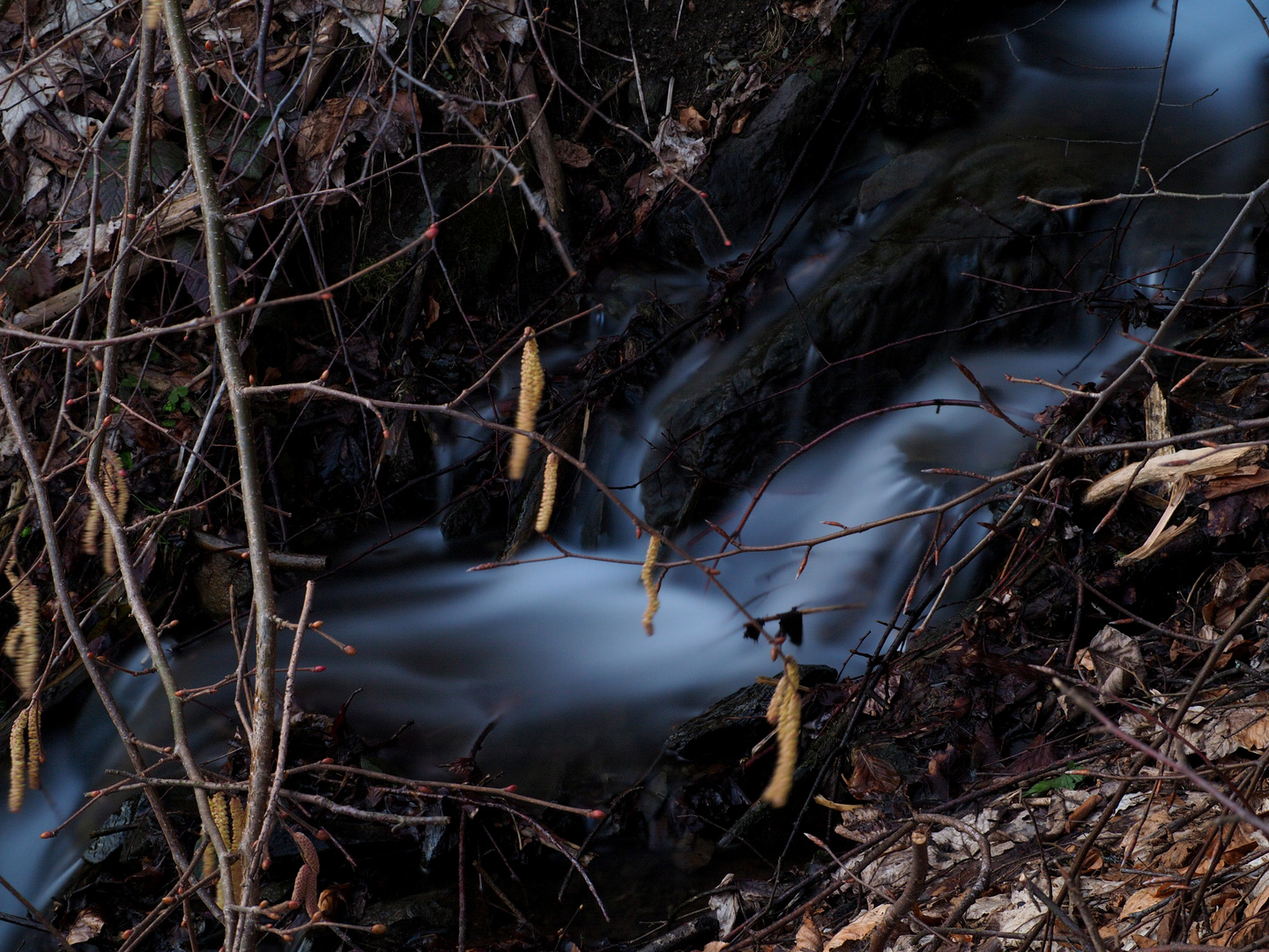 Bachlauf