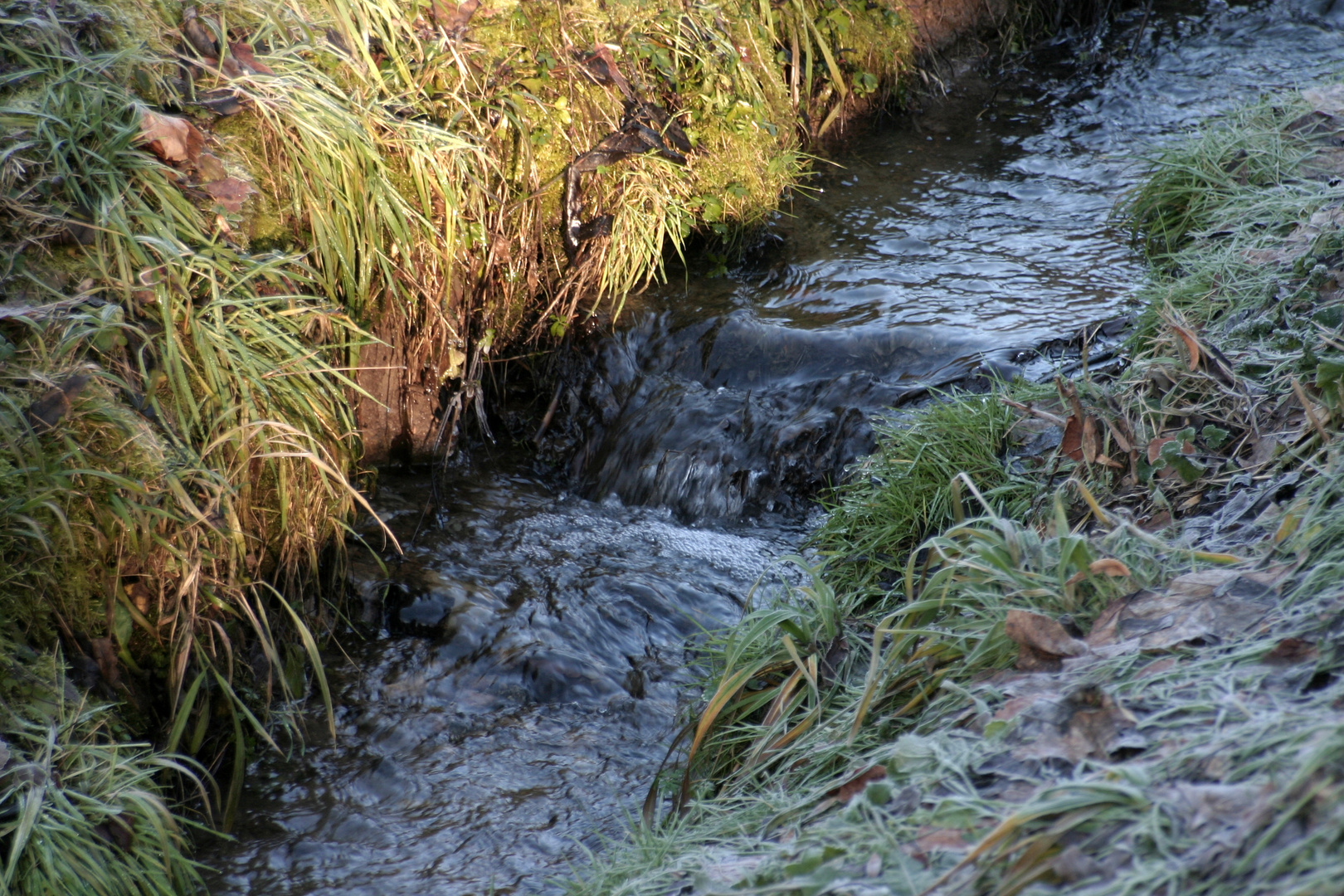 Bachlauf