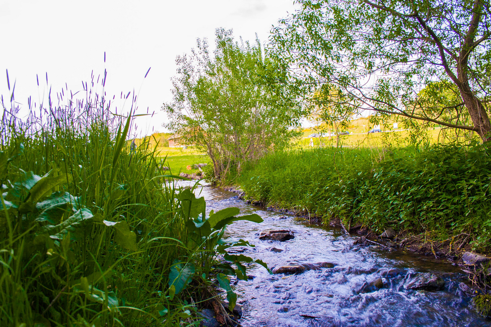 Bachlauf Foto & Bild landschaft, bach, fluss & see, bachläufe Bilder