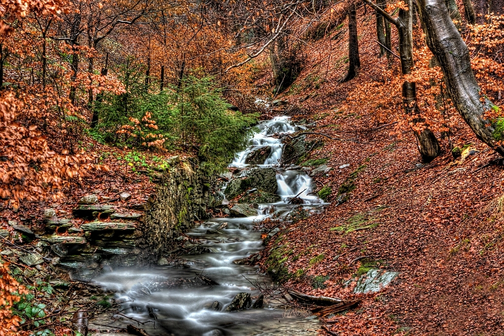 Bachlauf