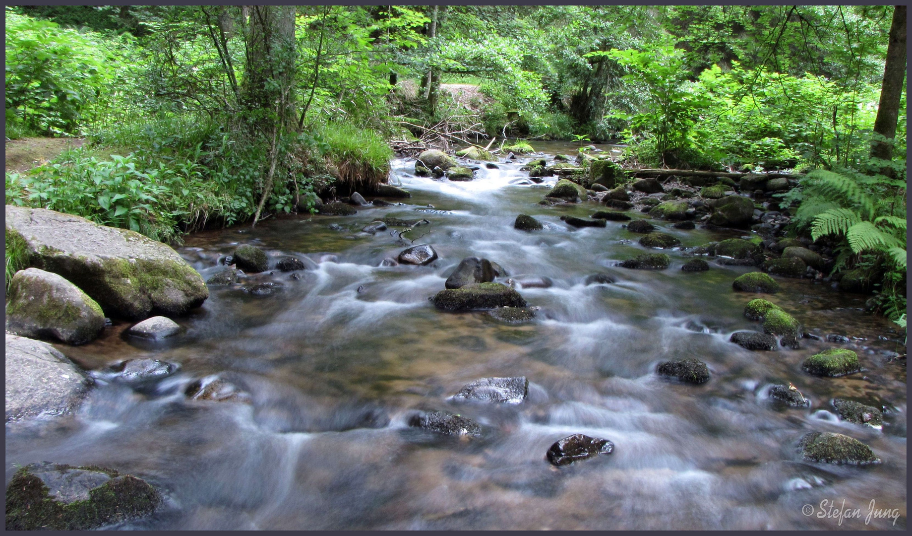 Bachlauf