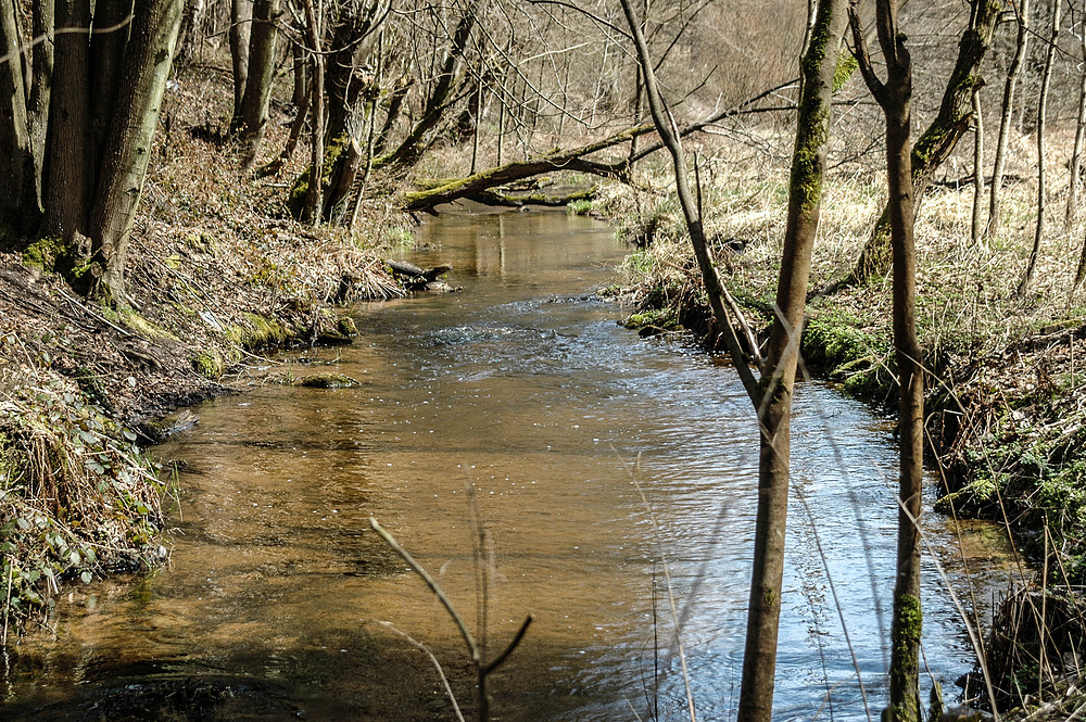 Bachlauf