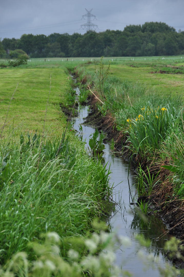 Bachlauf